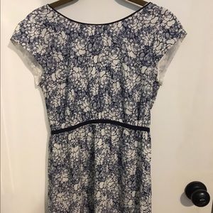Loft nwot dress